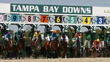 Pronósticos Tampa Bay Downs: picks gratis y el dato clave para el jueves 28 de enero Pronósticos Tampa Bay Downs: picks gratis y el dato clave para el jueves 28 de enero