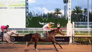 De "valer nada" a producir millones: La asombrosa coincidencia de estos ganadores de la Pegasus World Cup De "valer nada" a producir millones: La asombrosa coincidencia de estos ganadores de la Pegasus World Cup