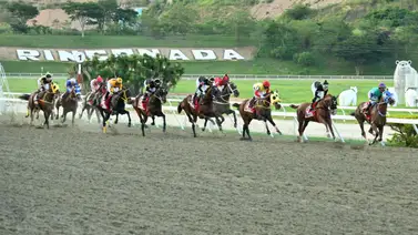 ¡Cuidado en las no válidas! La estadística que pone en jaque el debut de Madame Karina el domingo en la R05 ¡Cuidado en las no válidas! La estadística que pone en jaque el debut de Madame Karina el domingo en la R05