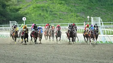 Mira lo que dice el dueño de la yegua Like A Star considerada como la línea del 5y6 en la R05 Mira lo que dice el dueño de la yegua Like A Star considerada como la línea del 5y6 en la R05