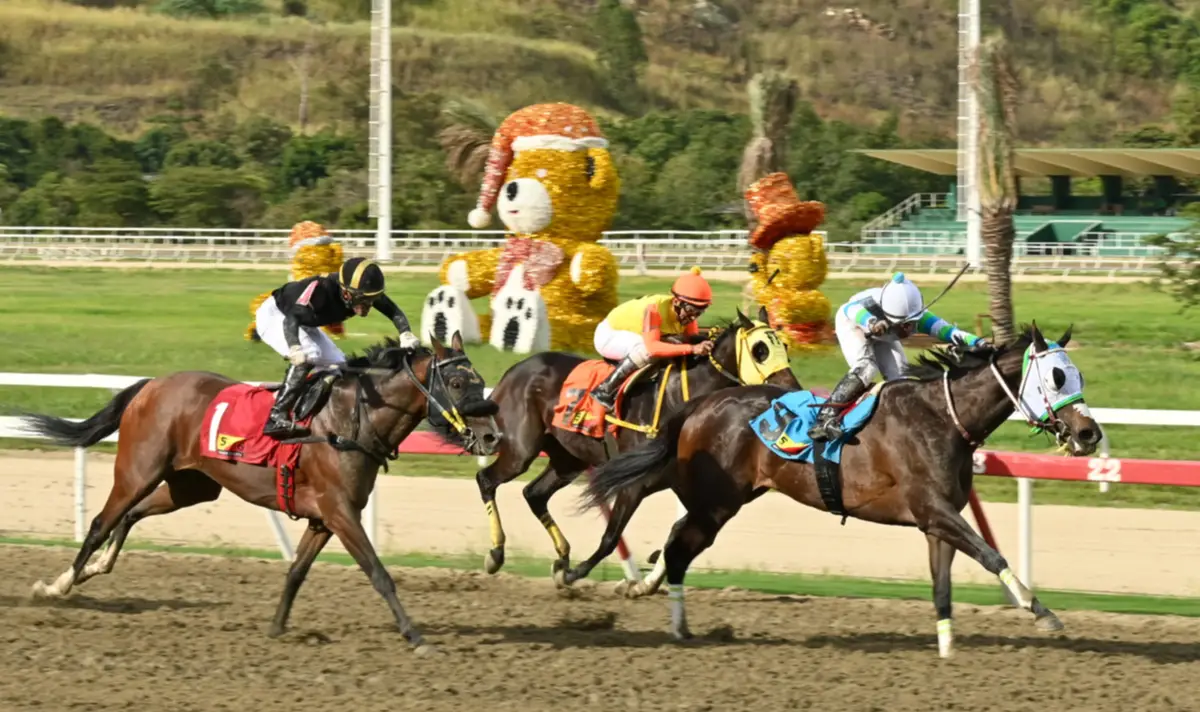 Mucho ojo en la R05: El regreso estratégico de la yegua que acaparó las miradas en su debut