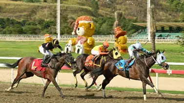 Mucho ojo en la R05: El regreso estratégico de la yegua que acaparó las miradas en su debut Mucho ojo en la R05: El regreso estratégico de la yegua que acaparó las miradas en su debut