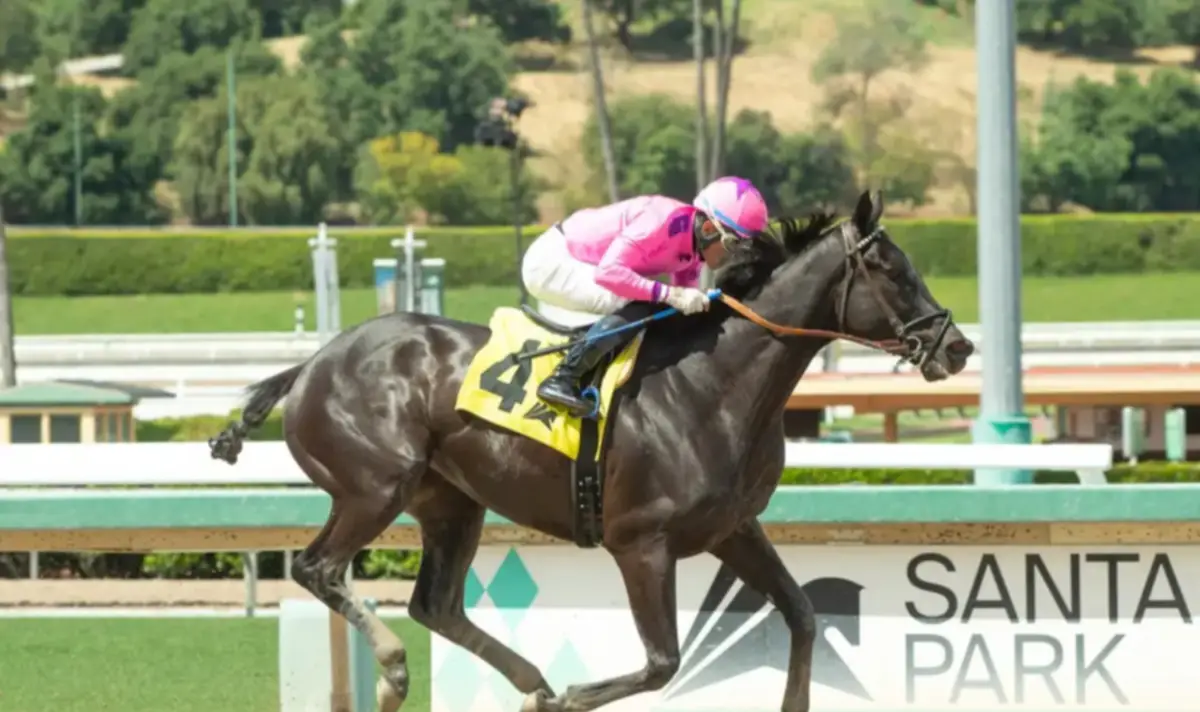 ¡Agarre dato, morocha imbatible! Un grupo parejo se presenta en el San Pasqual S (G2) el sábado en Santa Anita