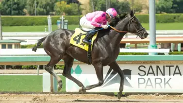 ¡Agarre dato, morocha imbatible! Un grupo parejo se presenta en el San Pasqual S (G2) el sábado en Santa Anita ¡Agarre dato, morocha imbatible! Un grupo parejo se presenta en el San Pasqual S (G2) el sábado en Santa Anita