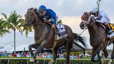 ¡De Venezuela para el Mundo! Junior Alvarado nombrado jinete de la semana en Estados Unidos ¡De Venezuela para el Mundo! Junior Alvarado nombrado jinete de la semana en Estados Unidos