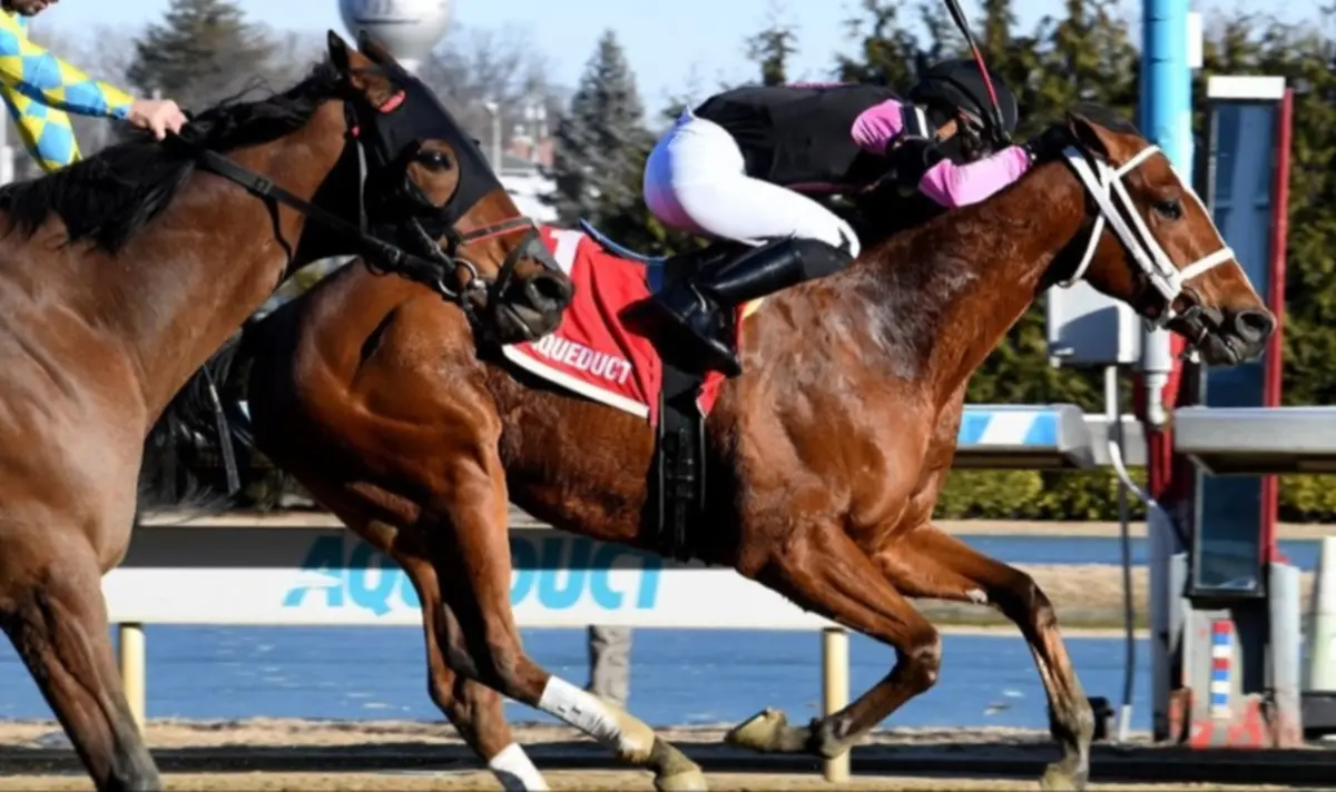 ¡Arepa Power! Maximus Meridius con el jinete venezolano Mychel Sánchez busca defender su título en el Toboggan Stakes