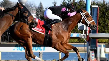 ¡Arepa Power! Maximus Meridius con el jinete venezolano Mychel Sánchez busca defender su título en el Toboggan Stakes ¡Arepa Power! Maximus Meridius con el jinete venezolano Mychel Sánchez busca defender su título en el Toboggan Stakes