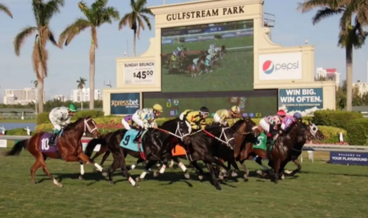 Entrenadores venezolanos en búsqueda del Kitten’s Joy Stakes del sábado en Gulfstream Park