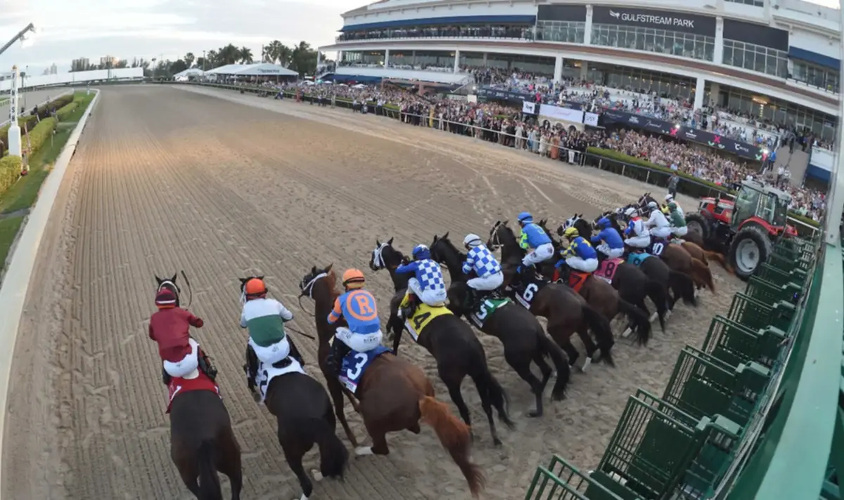 Junior Alvarado y Javier Castellano por el Swale Stakes del sábado en Gulfstream Park