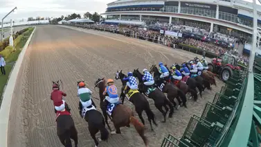 Junior Alvarado y Javier Castellano por el Swale Stakes del sábado en Gulfstream Park Junior Alvarado y Javier Castellano por el Swale Stakes del sábado en Gulfstream Park