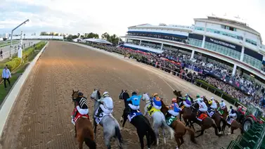 Pronósticos Gulfstream Park: picks gratis y el dato clave para el jueves 29 de enero Pronósticos Gulfstream Park: picks gratis y el dato clave para el jueves 29 de enero