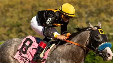 A las puertas del retiro: Napoleón Solo frenó el “adiós” de su entrenador camino al Kentucky Derby G1 A las puertas del retiro: Napoleón Solo frenó el “adiós” de su entrenador camino al Kentucky Derby G1