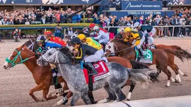 ¡Ojo al Dato! Este viernes en Gulfstream Park, Irad Ortiz Jr. lleva un mísil de la cuadra de Chad Brown en lote de perdedoras ¡Ojo al Dato! Este viernes en Gulfstream Park, Irad Ortiz Jr. lleva un mísil de la cuadra de Chad Brown en lote de perdedoras