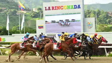 La línea de Gaceta Hípica bajo la lupa: El ajuste estratégico que tu 5y6 necesita para ganar La línea de Gaceta Hípica bajo la lupa: El ajuste estratégico que tu 5y6 necesita para ganar