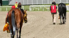 ¡Última hora en La Rinconada! El retiro de un gran favorito redefine el panorama de las carreras no válidas de la R05