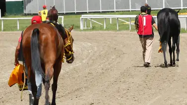 ¡Última hora en La Rinconada! El retiro de un gran favorito redefine el panorama de las carreras no válidas de la R05 ¡Última hora en La Rinconada! El retiro de un gran favorito redefine el panorama de las carreras no válidas de la R05
