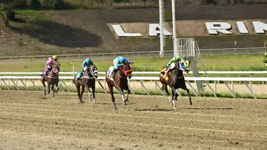 Chisme de última hora: Entérate del dato clave de la quinta válida que está en la boca de todos los hípicos Chisme de última hora: Entérate del dato clave de la quinta válida que está en la boca de todos los hípicos