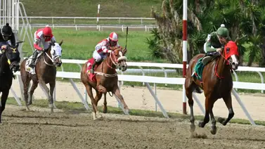 Olvida los rumores: Esta es la yegua que pocos miran, paga bien y ajustó contenida en La Rinconada Olvida los rumores: Esta es la yegua que pocos miran, paga bien y ajustó contenida en La Rinconada