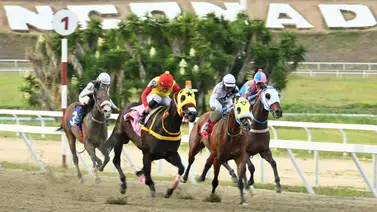 Reporte hípico: Mira el ejemplar que ya dan como el robo de toda Venezuela para el 5y6 dominical Reporte hípico: Mira el ejemplar que ya dan como el robo de toda Venezuela para el 5y6 dominical