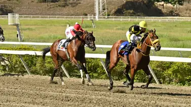 Mira es contigo: El jinete no se le baja y trabajó contenido para repetir victoria en La Rinconada Mira es contigo: El jinete no se le baja y trabajó contenido para repetir victoria en La Rinconada