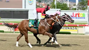 ¡Epa Ramoncito! Conoce el ajuste que dejó listo a la gran opción de Gaceta Hípica para sentenciar el 5y6 ¡Epa Ramoncito! Conoce el ajuste que dejó listo a la gran opción de Gaceta Hípica para sentenciar el 5y6