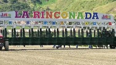 R05 bajo la lupa: Los ejemplares que lucen con más fuerza y el "especial" para reventar la taquilla R05 bajo la lupa: Los ejemplares que lucen con más fuerza y el "especial" para reventar la taquilla