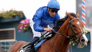 ¿Sabes cuáles son los mejores caballos del mundo de la actualidad? Míralos aquí ¿Sabes cuáles son los mejores caballos del mundo de la actualidad? Míralos aquí