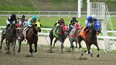 ¿Buscas el dividendo? Con el ajuste de una sorpresa de Gaceta Hípica queda lista para tomarse su primera foto del año en la R05 ¿Buscas el dividendo? Con el ajuste de una sorpresa de Gaceta Hípica queda lista para tomarse su primera foto del año en la R05