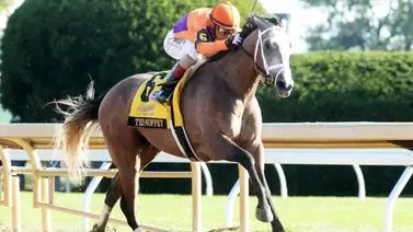 ¡Un giro inesperado! Ted Noffey no continuará en la Ruta al Kentucky Derby (G1) por estos detalles ¡Un giro inesperado! Ted Noffey no continuará en la Ruta al Kentucky Derby (G1) por estos detalles