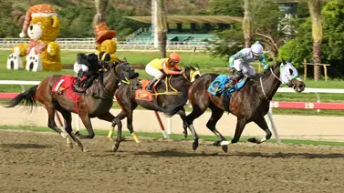 ¡Batacazo a la vista! Ejemplar que anda como un rayo tras su ajuste debe ser incluido en tu 5y6 ¡Batacazo a la vista! Ejemplar que anda como un rayo tras su ajuste debe ser incluido en tu 5y6