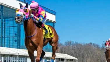 ¡Presta atención a este dato! Mychel Sánchez cerca de conseguir una marca histórica entre los venezolanos ¡Presta atención a este dato! Mychel Sánchez cerca de conseguir una marca histórica entre los venezolanos