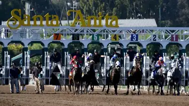 Pronósticos Santa Anita Park: picks gratis y el dato clave para el viernes 30 de enero Pronósticos Santa Anita Park: picks gratis y el dato clave para el viernes 30 de enero