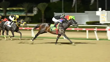 El enigma de Juan Valdez: Todo lo que debes saber sobre su regreso a los 1.400 metros en La Rinconada El enigma de Juan Valdez: Todo lo que debes saber sobre su regreso a los 1.400 metros en La Rinconada