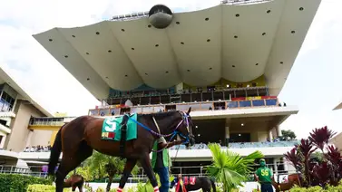 La Rinconada: Datos de Última Hora para el 01-02-2026 La Rinconada: Datos de Última Hora para el 01-02-2026