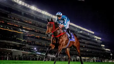 Descubra a los caballos legendarios que marcaron récords millonarios en la historia del turf hípico Descubra a los caballos legendarios que marcaron récords millonarios en la historia del turf hípico