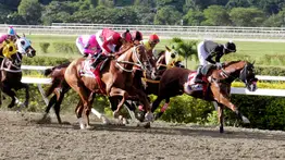 Gaceta Hípica dicta cátedra: Lo que debes saber tras cuatro jornadas exitosas en La Rinconada