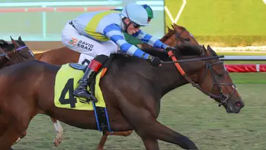 Pronósticos Gulfstream Park: picks gratis y el dato clave para el viernes 30 de enero Pronósticos Gulfstream Park: picks gratis y el dato clave para el viernes 30 de enero