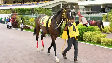¡Atención! Confirmado un retiro de última hora en la tercera válida del 5y6 en La Rinconada ¡Atención! Confirmado un retiro de última hora en la tercera válida del 5y6 en La Rinconada