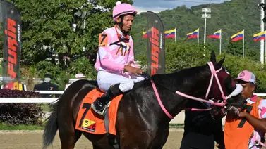 Félix Velásquez sobre Zeppelin: "Es un gran caballo y confío plenamente en su calidad” Félix Velásquez sobre Zeppelin: "Es un gran caballo y confío plenamente en su calidad”