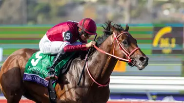 Se calienta la Saudi Cup: Forever Young encabeza la nómina de la primera carrera más rica del mundo Se calienta la Saudi Cup: Forever Young encabeza la nómina de la primera carrera más rica del mundo