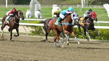 Si no te gusta St Germain o Look At Daddy aquí hay un ejemplar que puede generar un buen dividendo Si no te gusta St Germain o Look At Daddy aquí hay un ejemplar que puede generar un buen dividendo