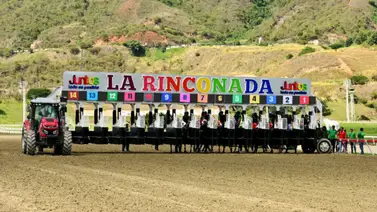 La estadística no miente: El extraño fenómeno de los números que no ganan en La Rinconada La estadística no miente: El extraño fenómeno de los números que no ganan en La Rinconada