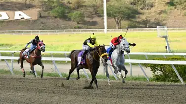 Sella tu 5y6 en MeridianoBet: Datos exclusivos y 5% de reembolso dominical Sella tu 5y6 en MeridianoBet: Datos exclusivos y 5% de reembolso dominical