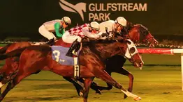 Pronósticos Gulfstream Park: picks gratis y el dato clave para el sábado 31 de enero