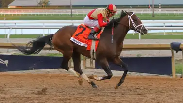 Nearly despega hacia el Kentucky Derby con una contundente victoria en el Holy Bull (G3) de Gulfstream Park Nearly despega hacia el Kentucky Derby con una contundente victoria en el Holy Bull (G3) de Gulfstream Park