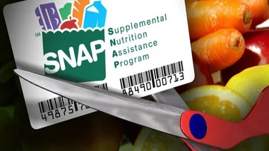 CalFresh en Febrero: Conoce las fechas de pago y cómo utilizar tu tarjeta EBT