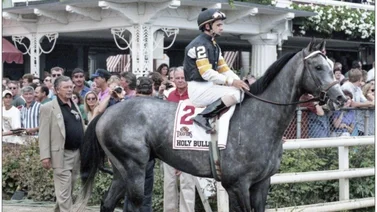 Aquí los ejemplares más cotizados para los 4 stakes del sábado que dan puntos al Kentucky Derby