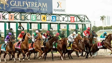 Así quedaron los resultados de las carreras Gulfstream Park 01-02-2024