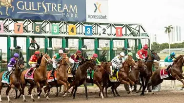 Así quedaron los resultados de las carreras Gulfstream Park 01-02-2024 Así quedaron los resultados de las carreras Gulfstream Park 01-02-2024
