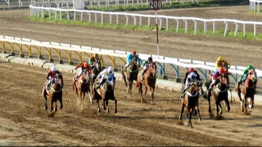 Descubierto escándalo de corrupción por desvío de fondos en este hipódromo